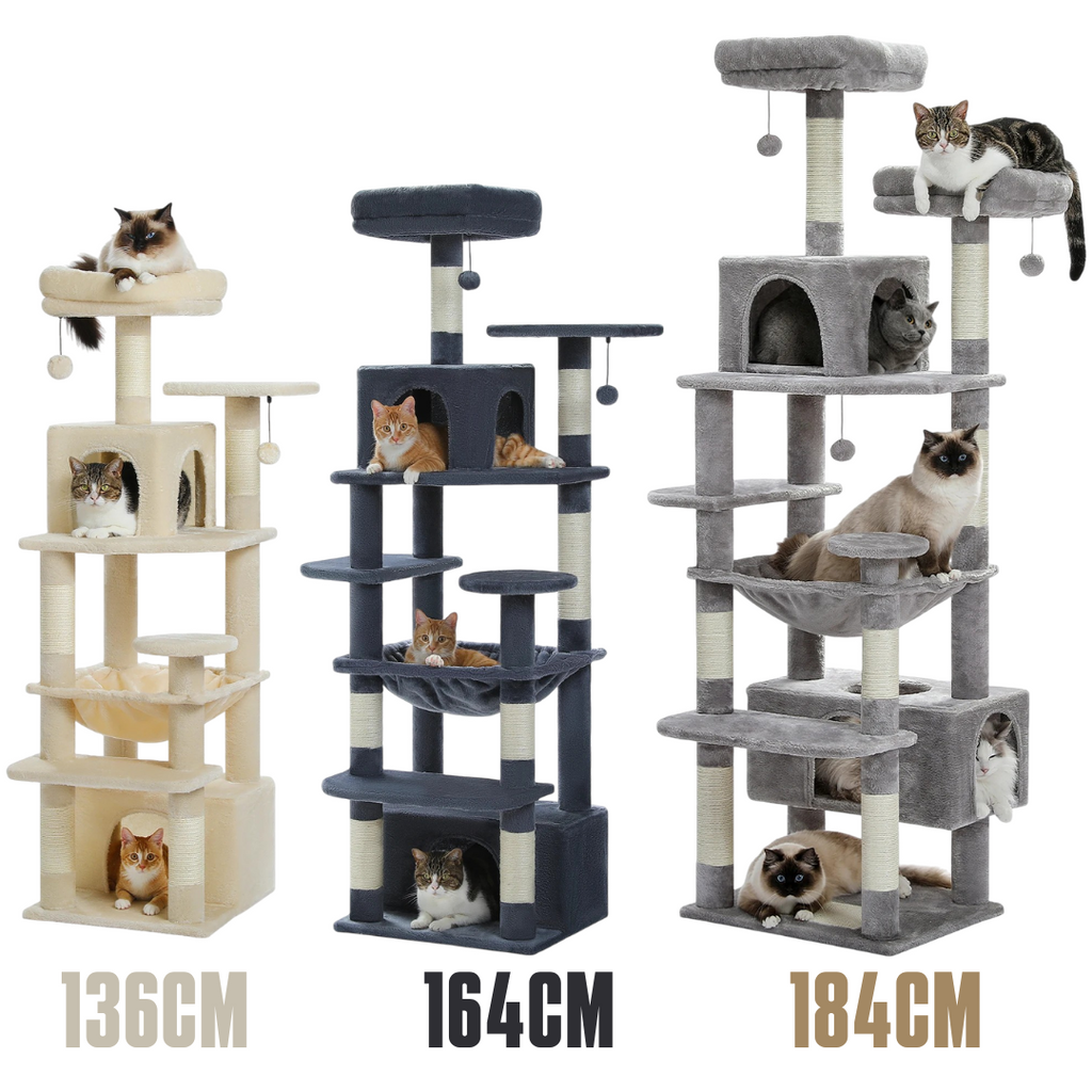 Le Palais Félin – Arbre à Chat XXL